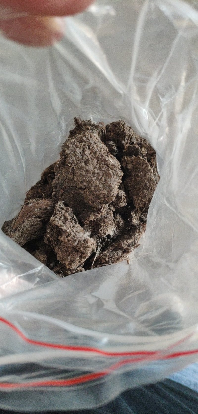 厂家批发晾晒干鸡粪欢迎大家咨询