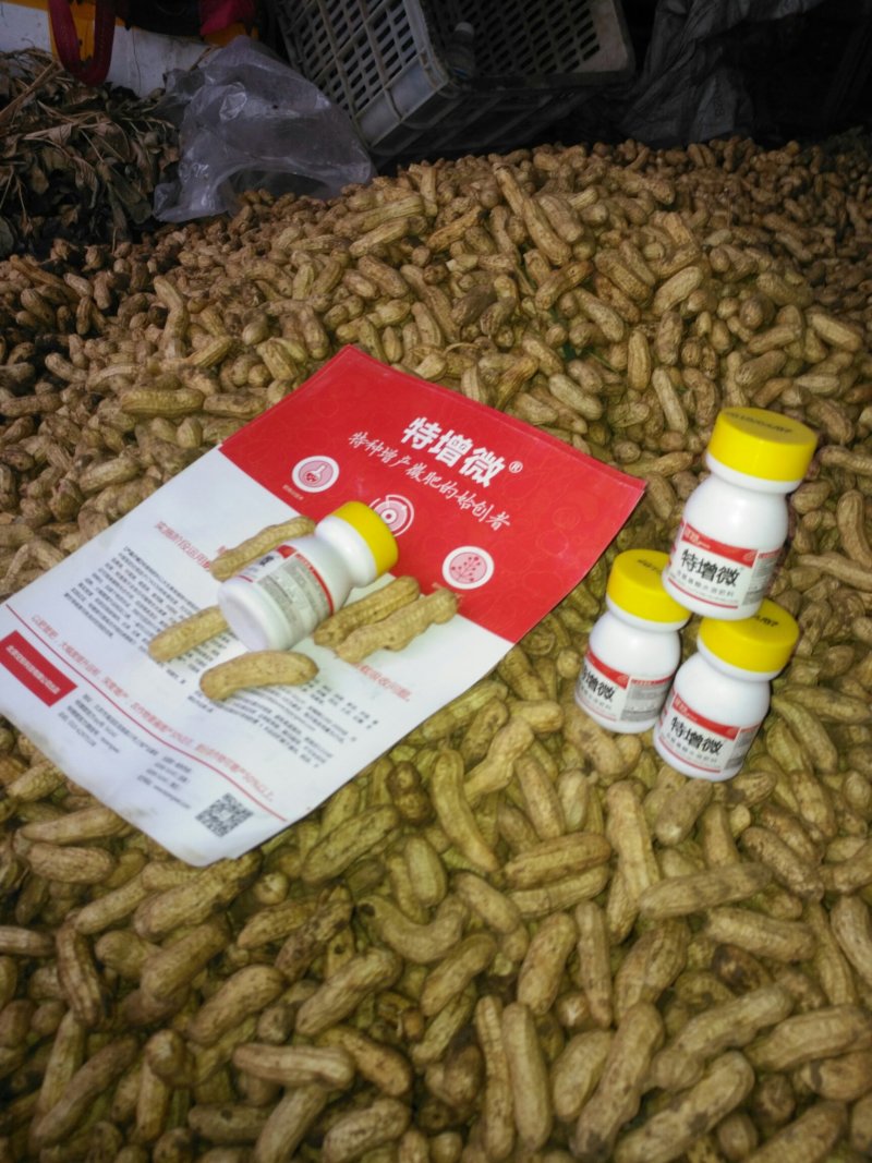 长果，四粒红，白沙，黑米花生