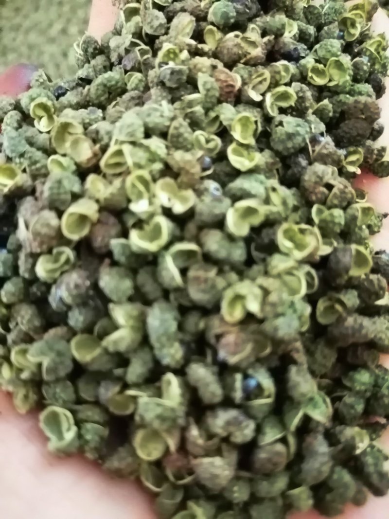 盐源青花椒！麻味足开口好！