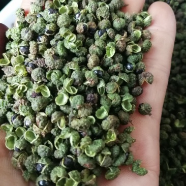 盐源青花椒！麻味足开口好！