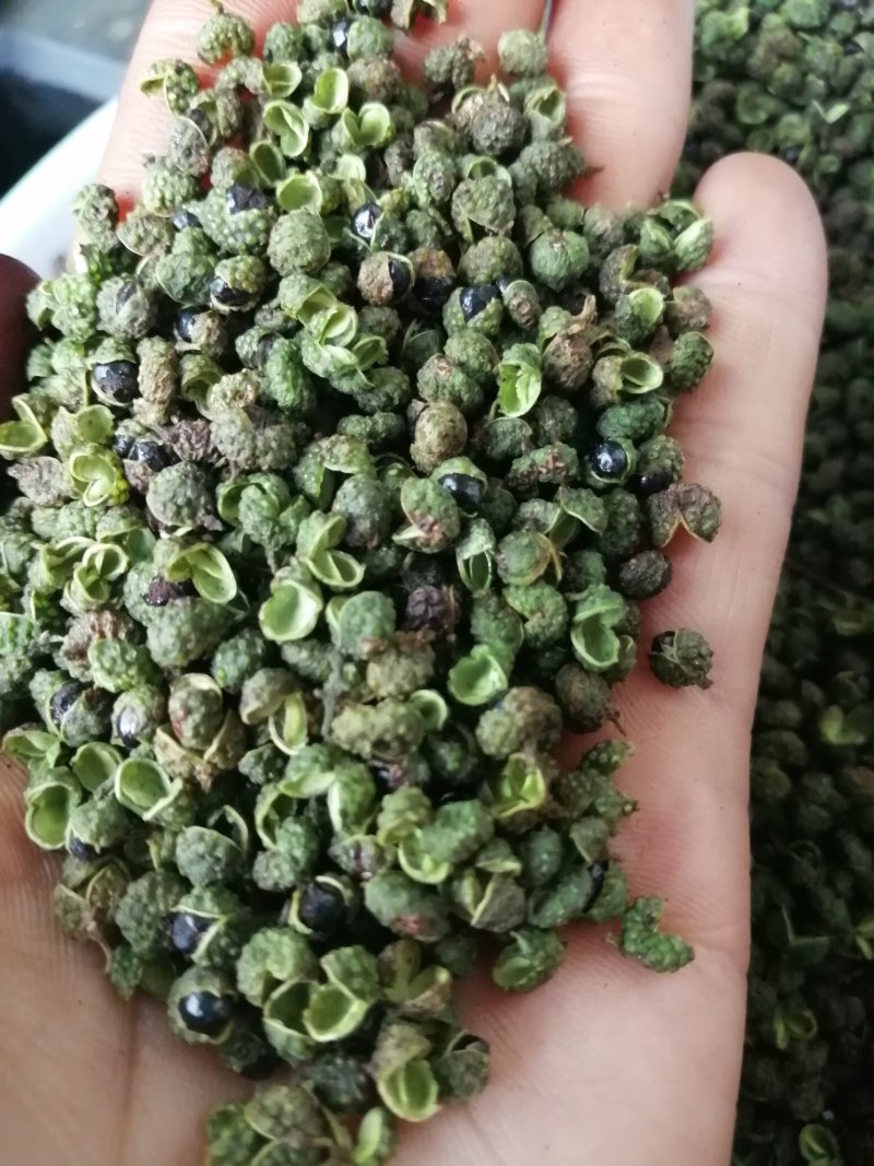 盐源青花椒！麻味足开口好！