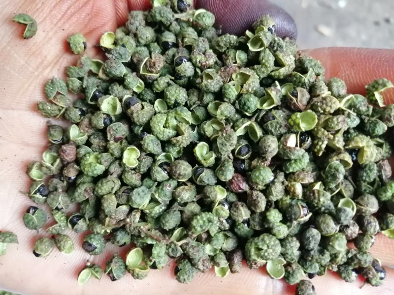 盐源青花椒！麻味足开口好！