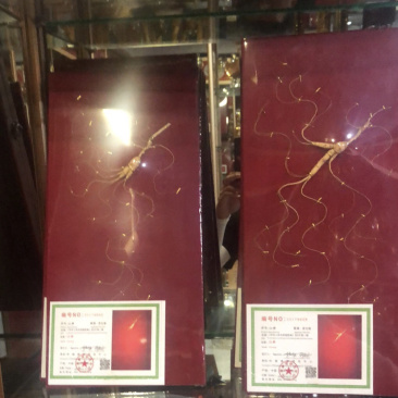 大量出版参，量大从优
