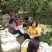 阳信大鸭梨，30年果农，膜袋鸭梨，皮薄汁多，膜袋隔离农药