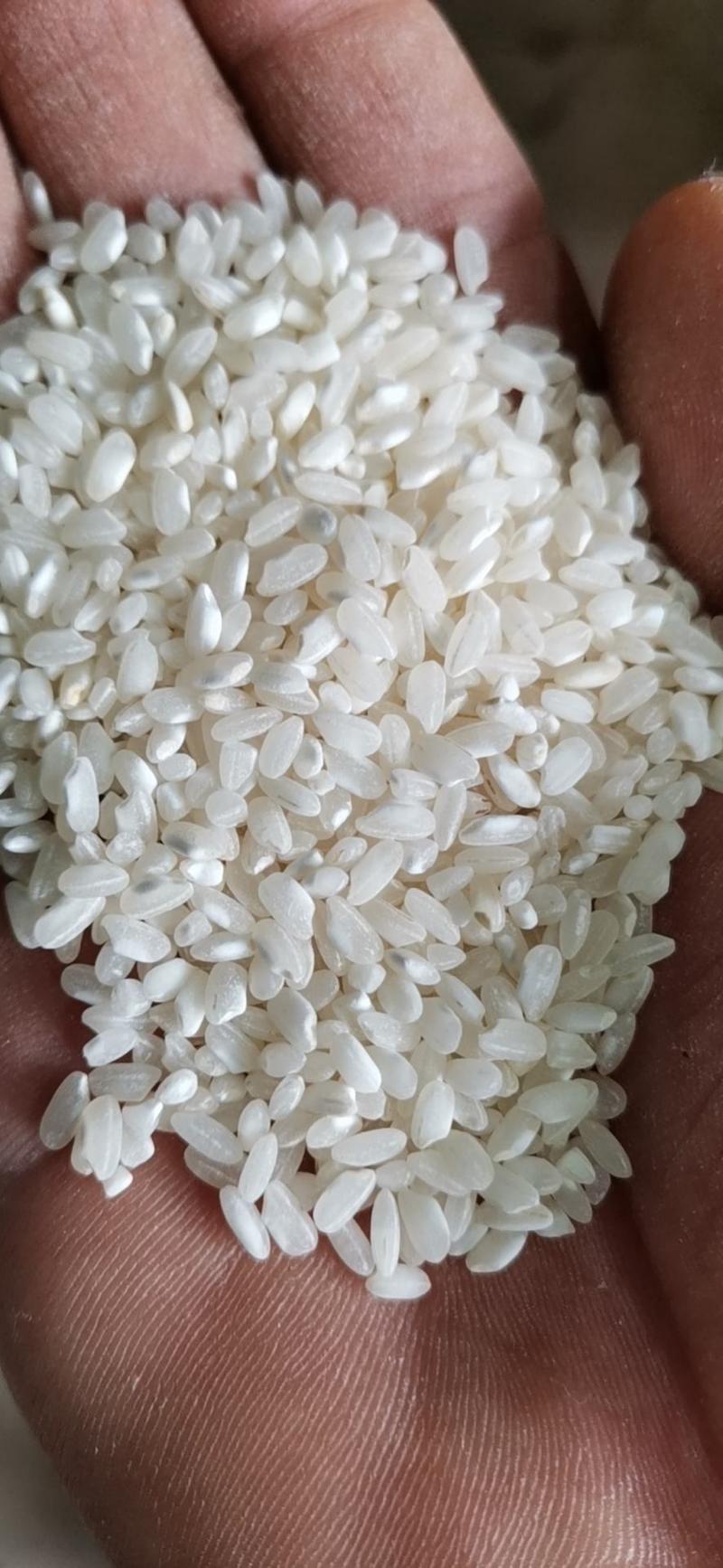 湖南籼米桂潮米专业加工米粉米线米皮米糕米豆腐肠粉等深加工