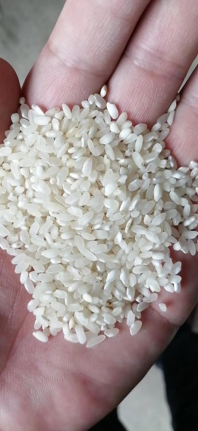 湖南籼米桂潮米专业加工米粉米线米皮米糕米豆腐肠粉等深加工