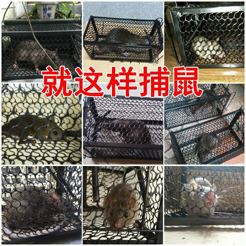 抓老鼠笼子家用捕鼠器灭老鼠神器耗子一窝端