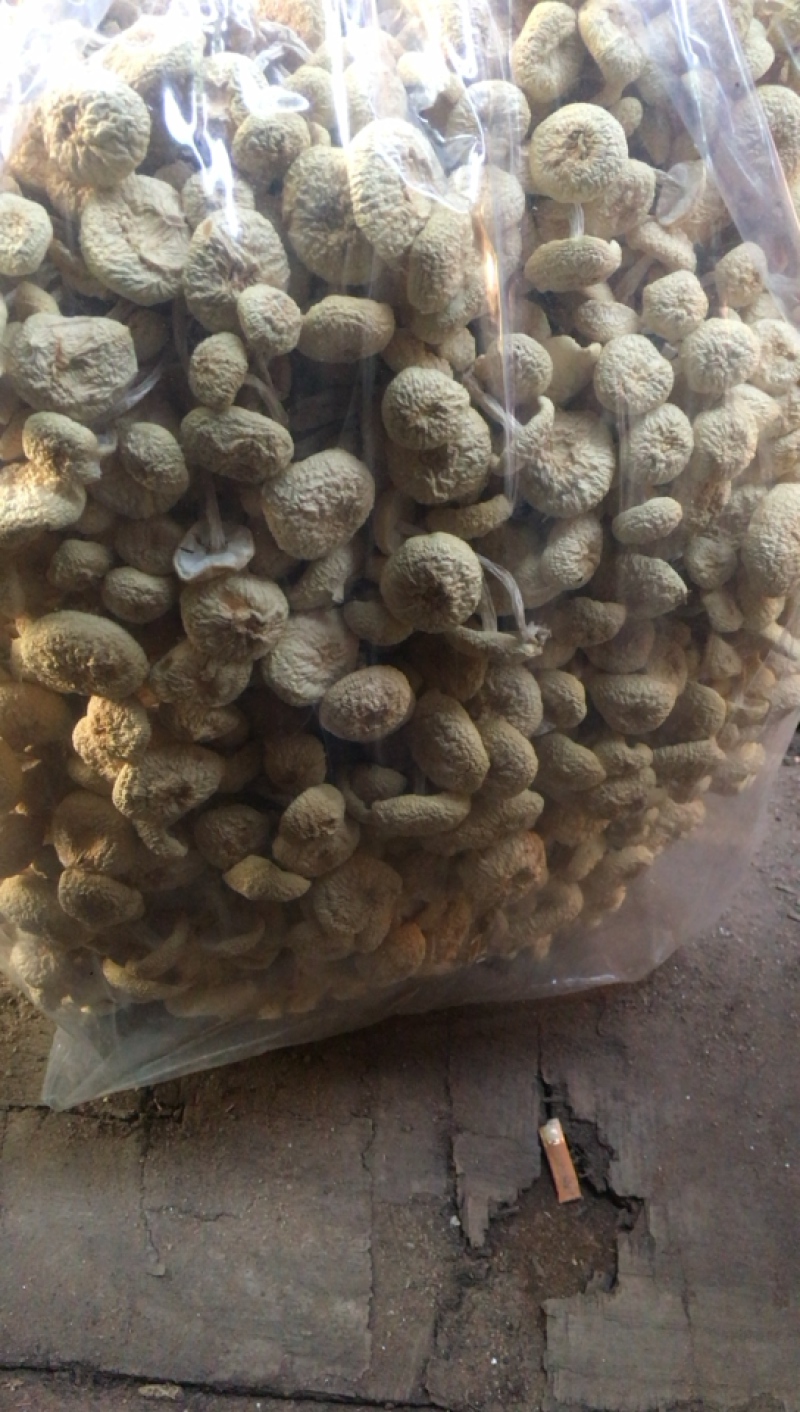 食用菌种植基地自营店
