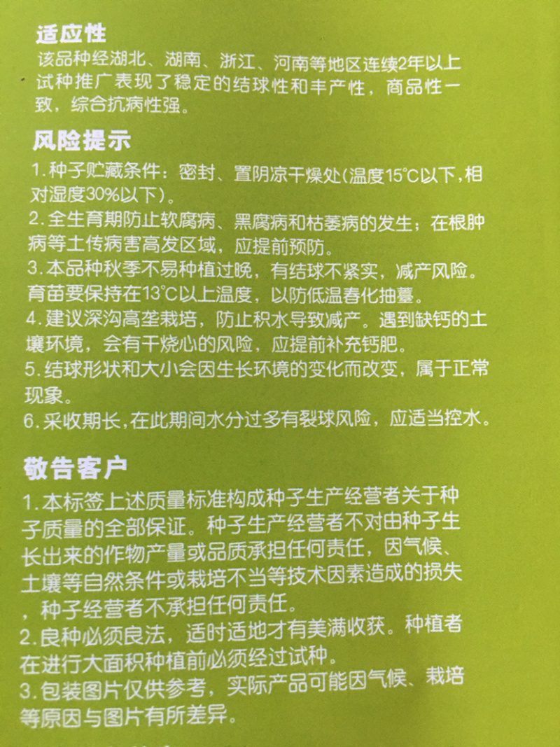 楚甘662越冬甘蓝种子