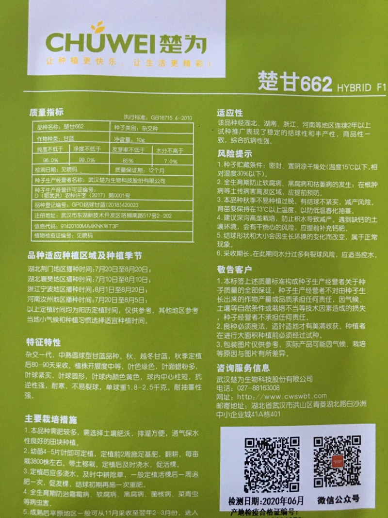 楚甘662越冬甘蓝种子
