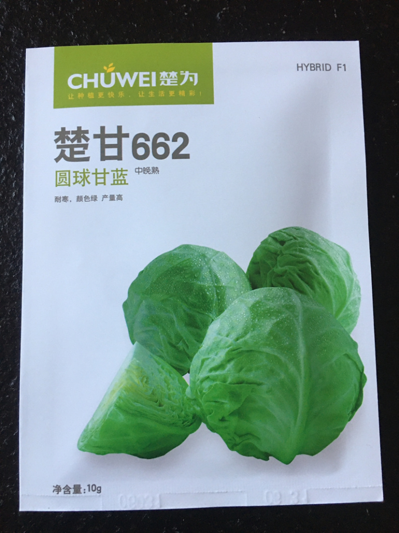 楚甘662越冬甘蓝种子