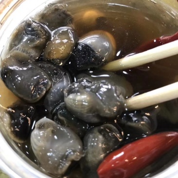 东港滩涂新鲜大泥螺即食加工味道鲜美质量非常好
