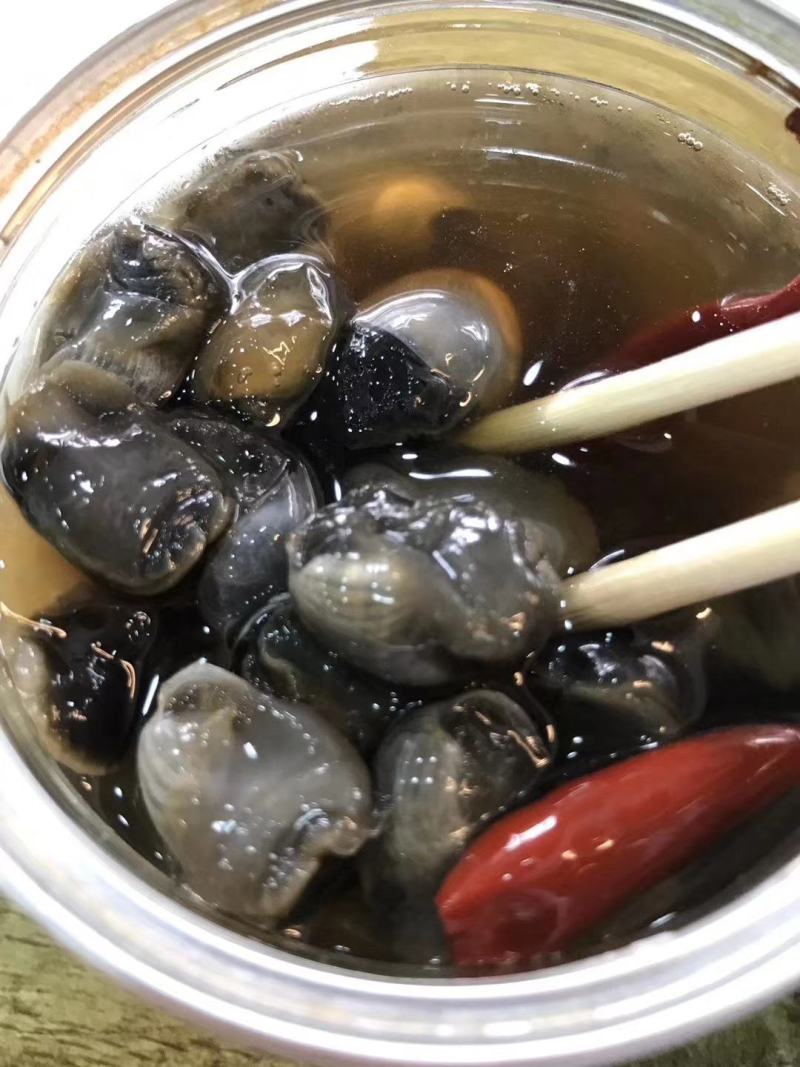 东港滩涂新鲜大泥螺即食加工味道鲜美质量非常好