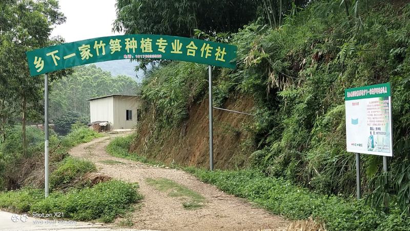 乡下一家竹笋竹笋种植专业合作社