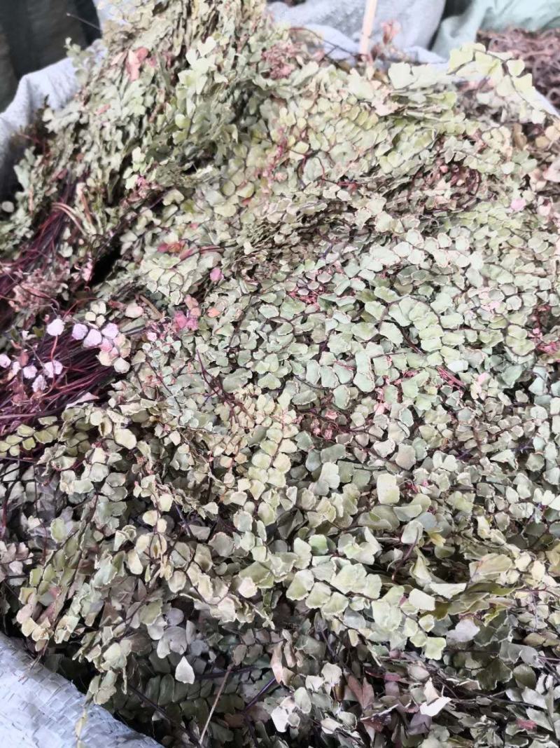 中药材各种中草药，偏冷药材