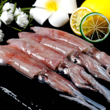 海兔子鲜冻笔管鱼籽乌乌贼鱼新鲜速冻笔管鱼