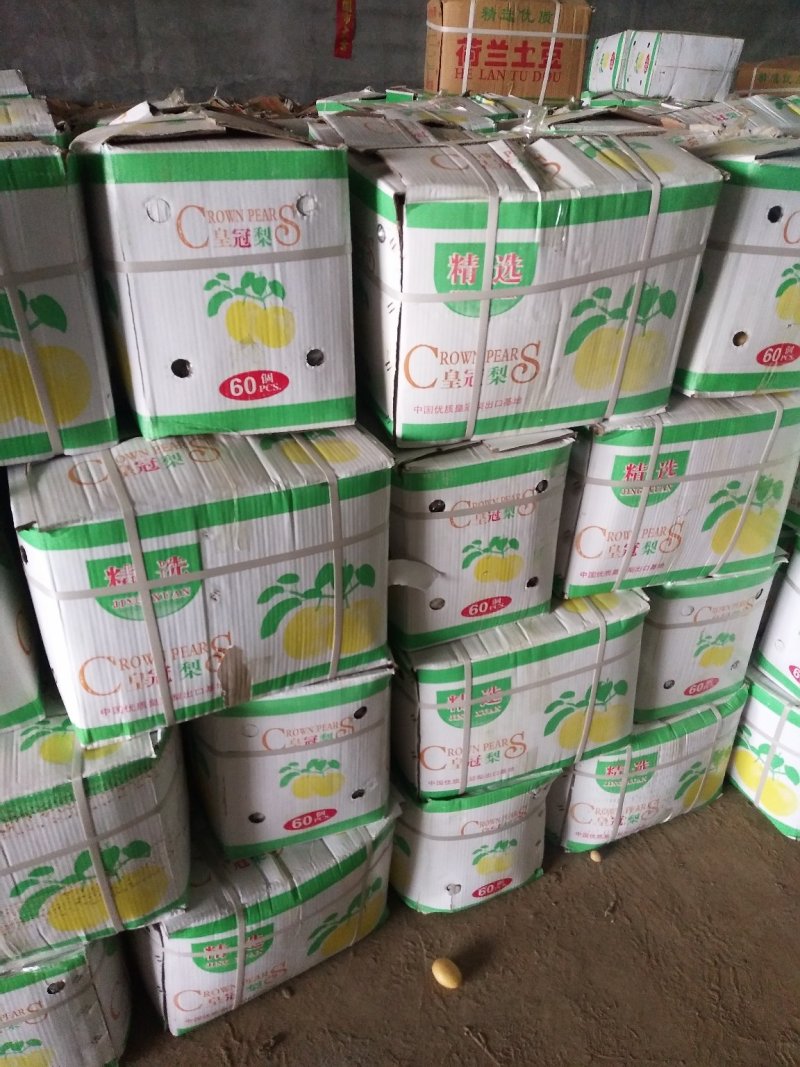 滕州冷库土豆大量出库中
