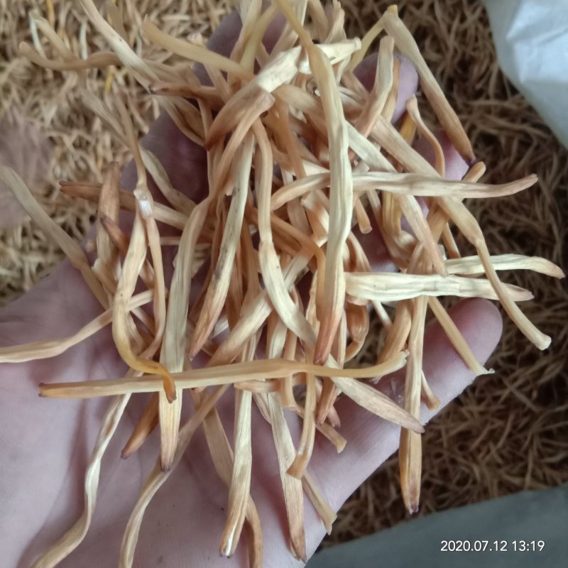 陕西汉中干直条黄花菜