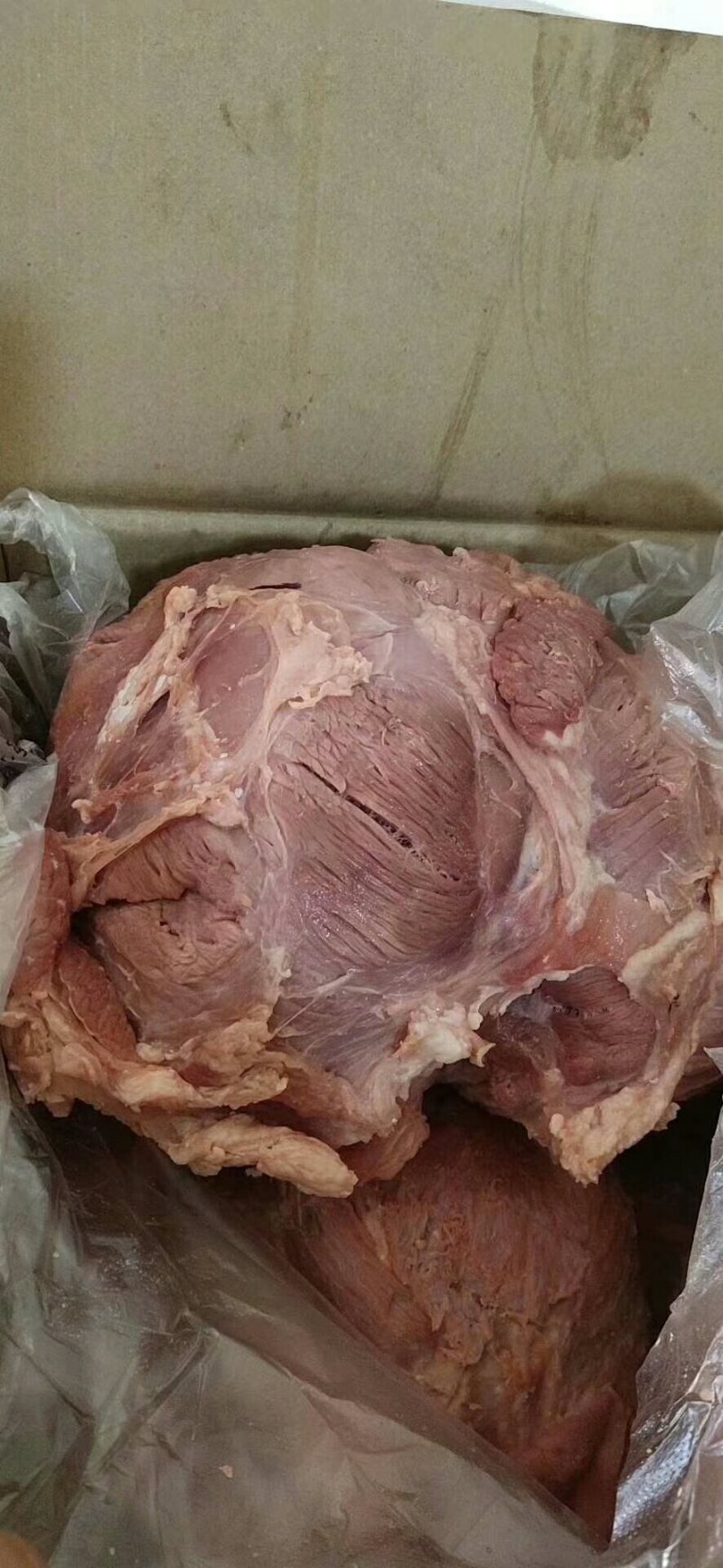 五相牛健，开箱及时食，高质量亲人款