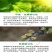 甲维虫螨腈虱螨脲抗性青虫专用小菜蛾食心虫菜蛾夜蛾杀虫剂
