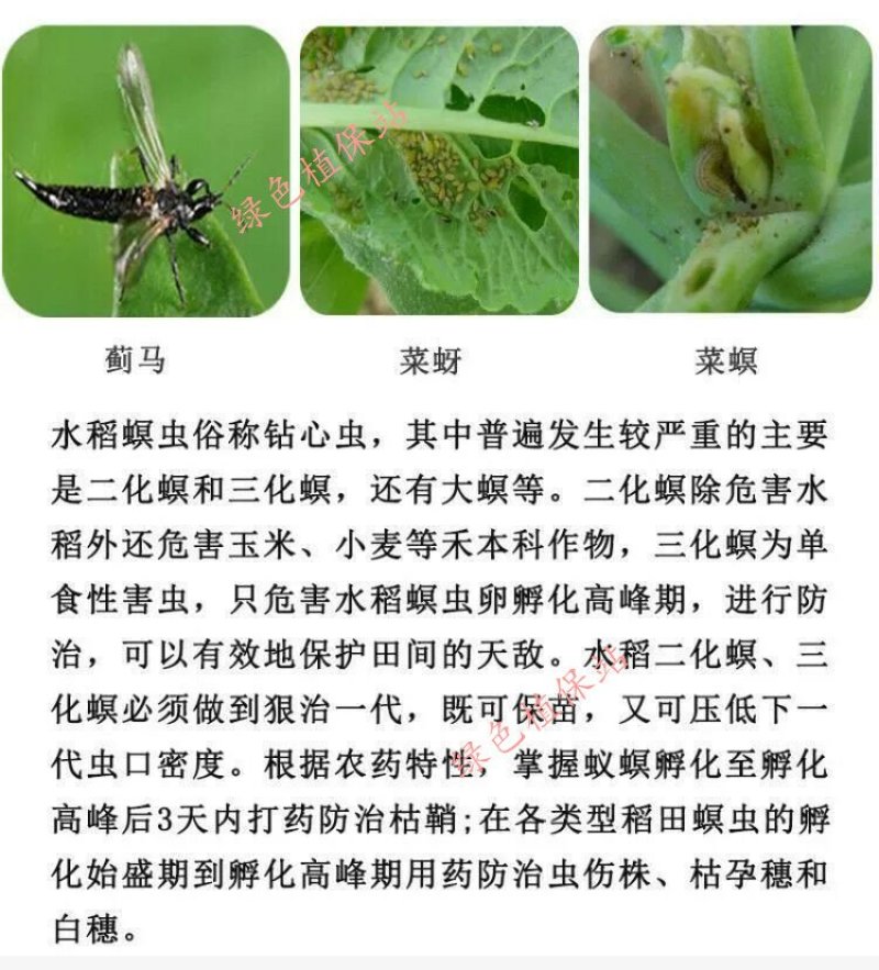 甲维虫螨腈虱螨脲抗性青虫专用小菜蛾食心虫菜蛾夜蛾杀虫剂