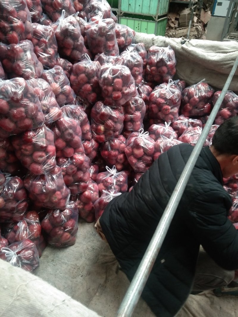甘肃天水花牛，九月一号上市，产地直发，蛇果中的精品，