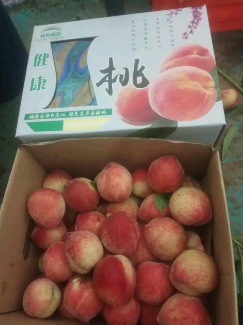 各种优质毛桃大量上市产地底价供货