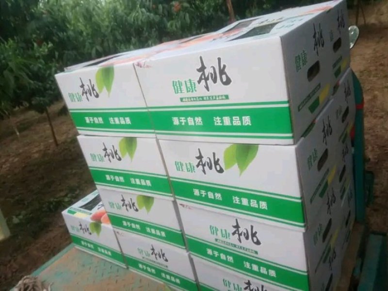 各种优质毛桃大量上市产地底价供货