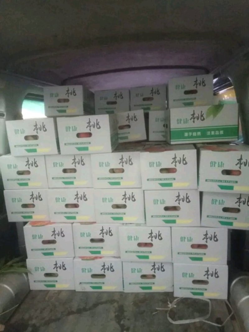 各种优质毛桃大量上市产地底价供货