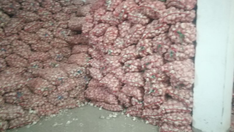 大蒜（优级混级大蒜，品相好）