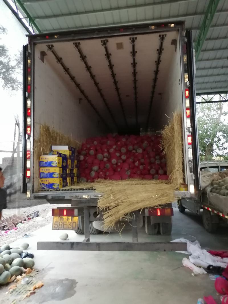 新疆吐鲁番秋季哈密瓜上市中