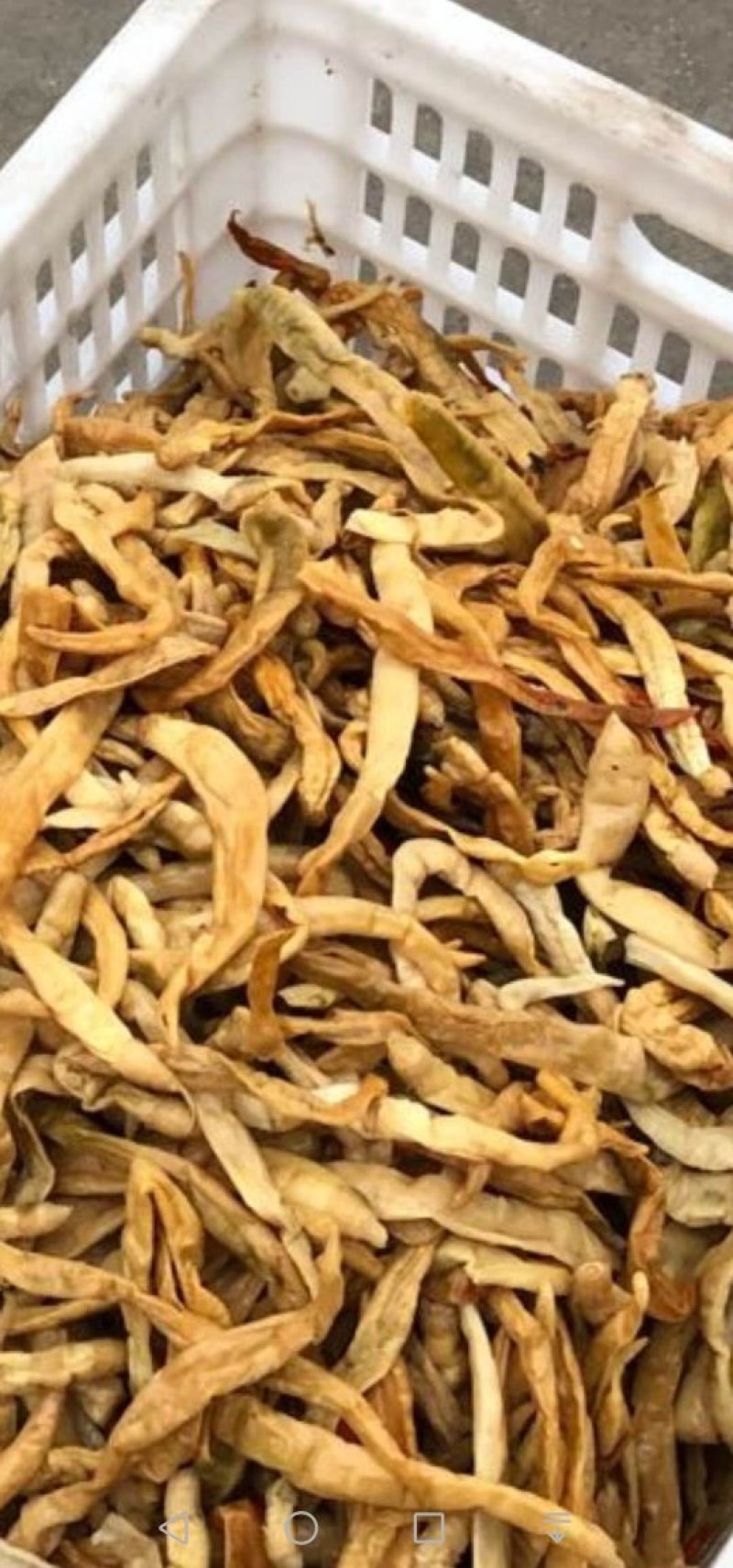 精品豆角豆角丝豆角段