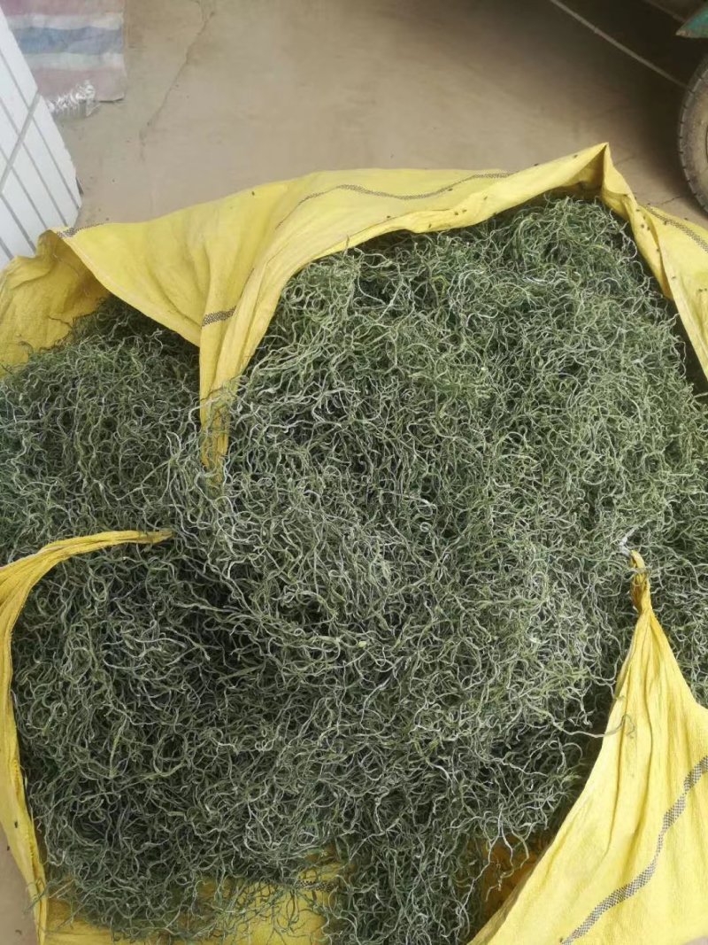 精品豆角豆角丝豆角段