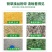 铡草机多功能铡草机小型家用干湿秸秆粉碎机养殖揉草机碎草机