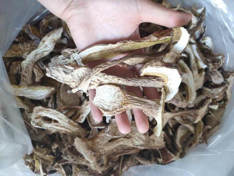 野生白牛肝菌黄牛肝菌产地直批