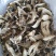 野生白牛肝菌黄牛肝菌产地直批