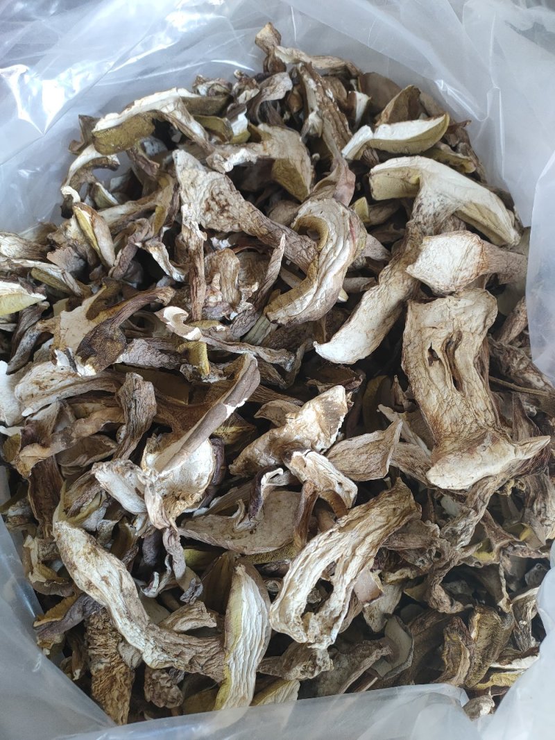 野生白牛肝菌黄牛肝菌产地直批