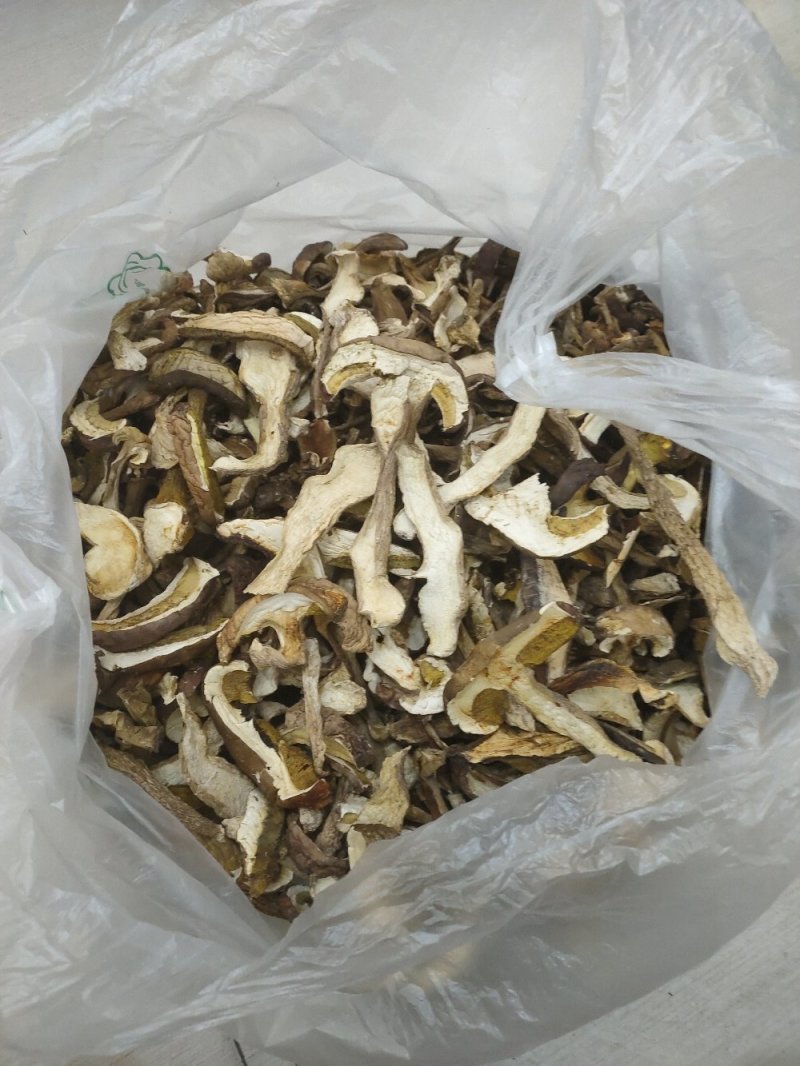 野生白牛肝菌黄牛肝菌产地直批