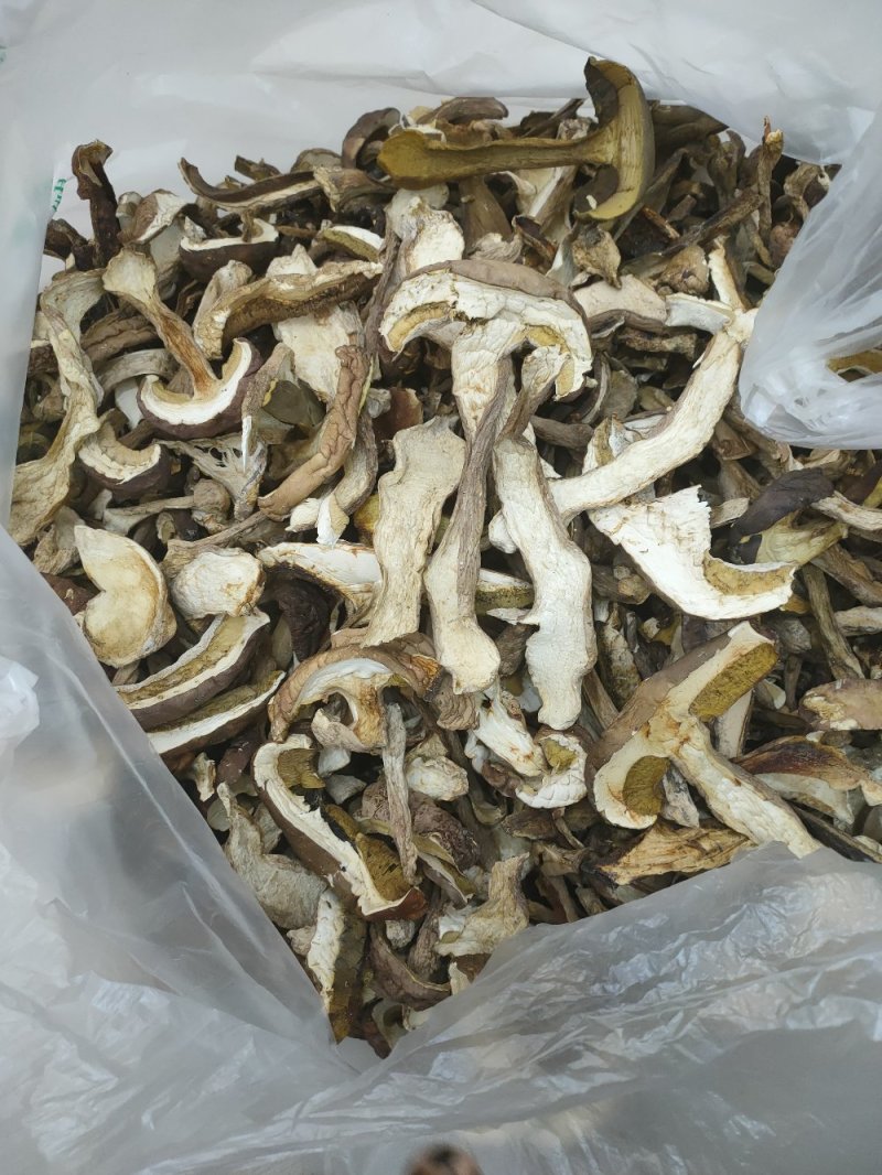 野生白牛肝菌黄牛肝菌产地直批