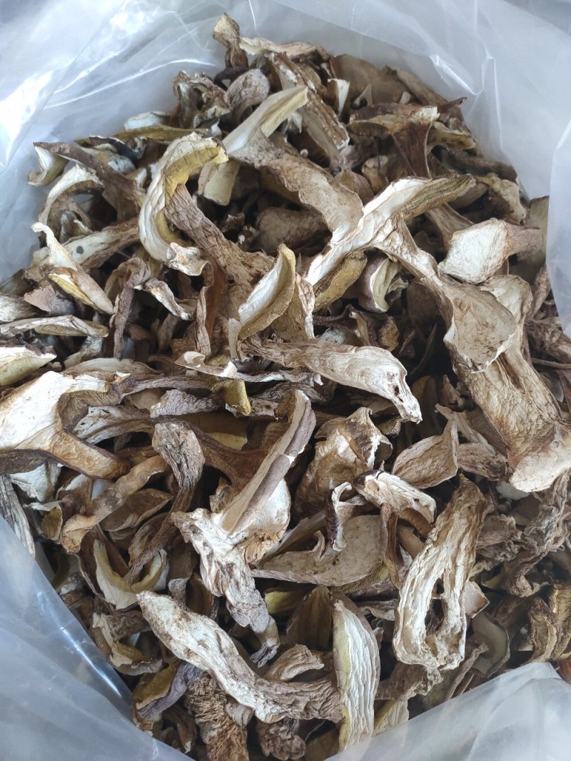 野生白牛肝菌黄牛肝菌产地直批
