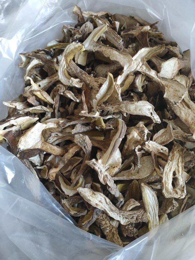 野生白牛肝菌黄牛肝菌产地直批