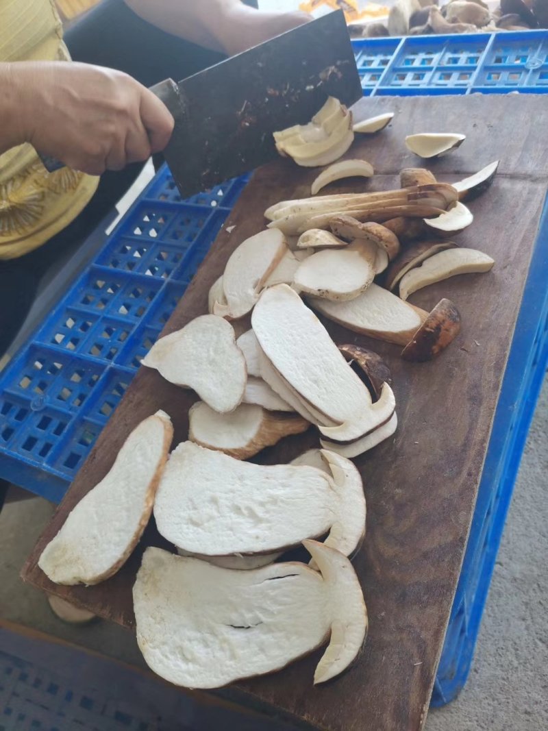野生白牛肝菌黄牛肝菌产地直批