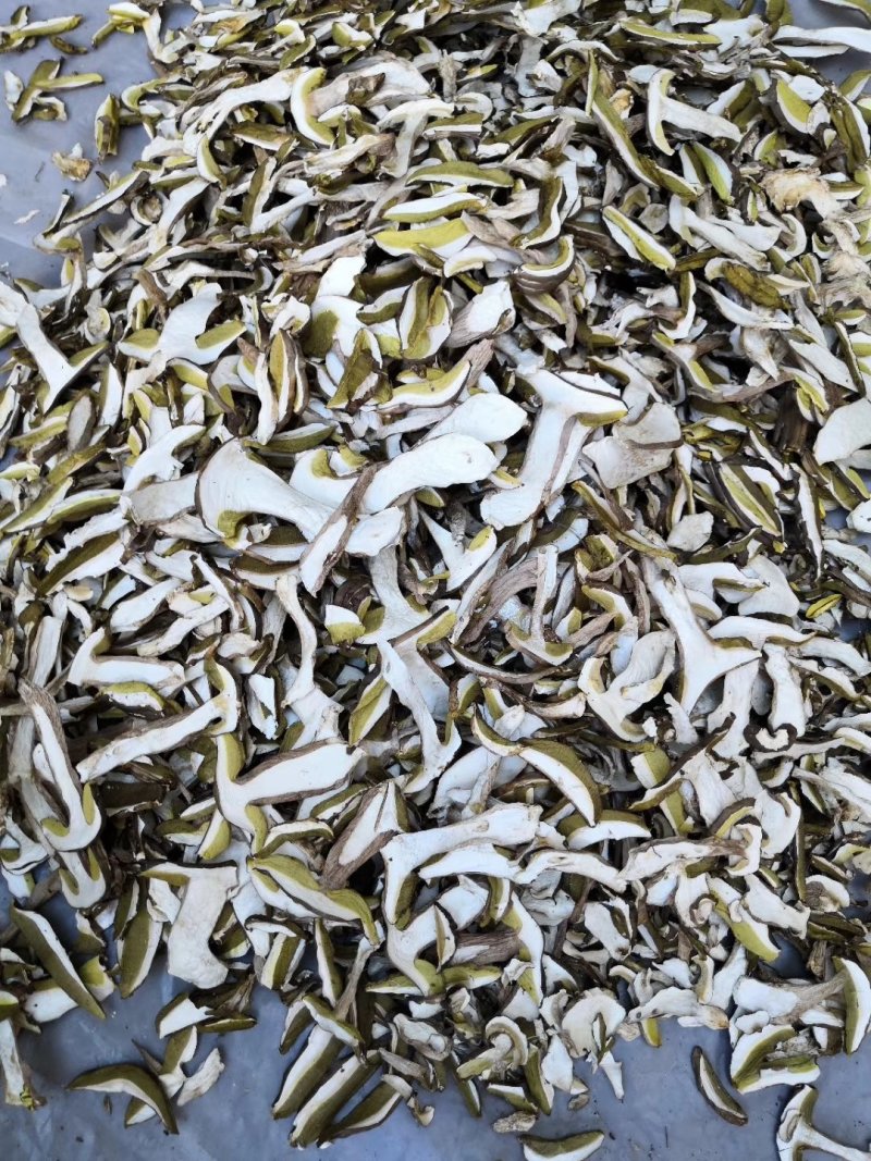 野生白牛肝菌黄牛肝菌产地直批
