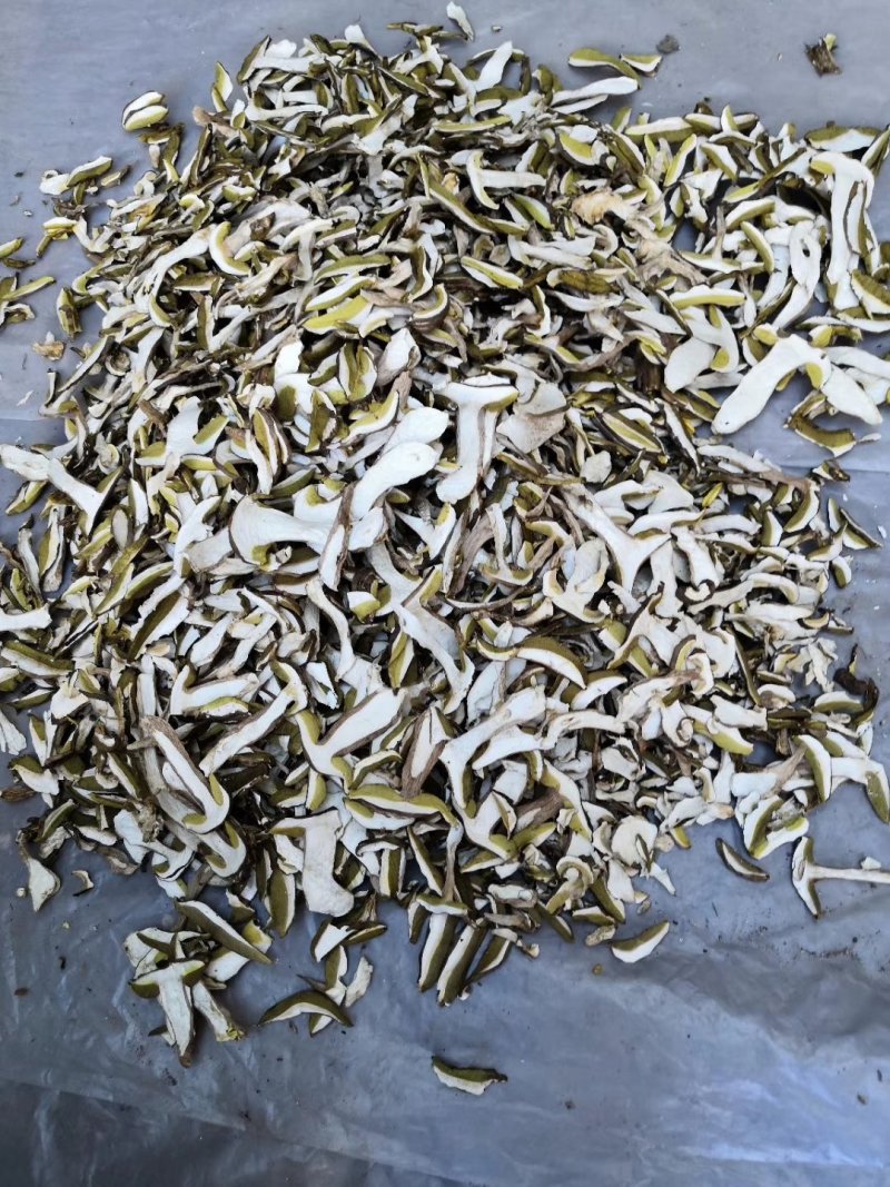 野生白牛肝菌黄牛肝菌产地直批