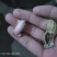 现摘现卖，新鲜好花生，饱满度高，性价比强