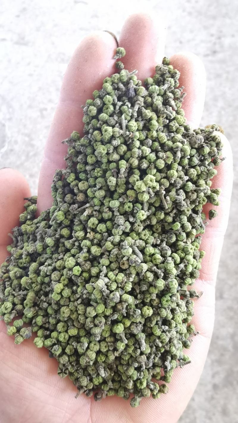 产地吴茱萸大量产新(批发零售)产地实力商家