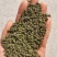 产地吴茱萸大量产新(批发零售)产地实力商家