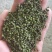 产地吴茱萸大量产新(批发零售)产地实力商家