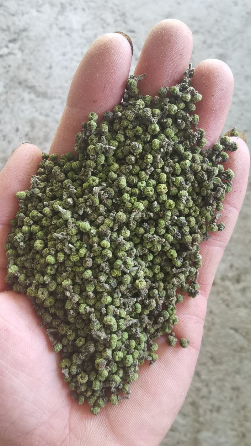 产地吴茱萸大量产新(批发零售)产地实力商家