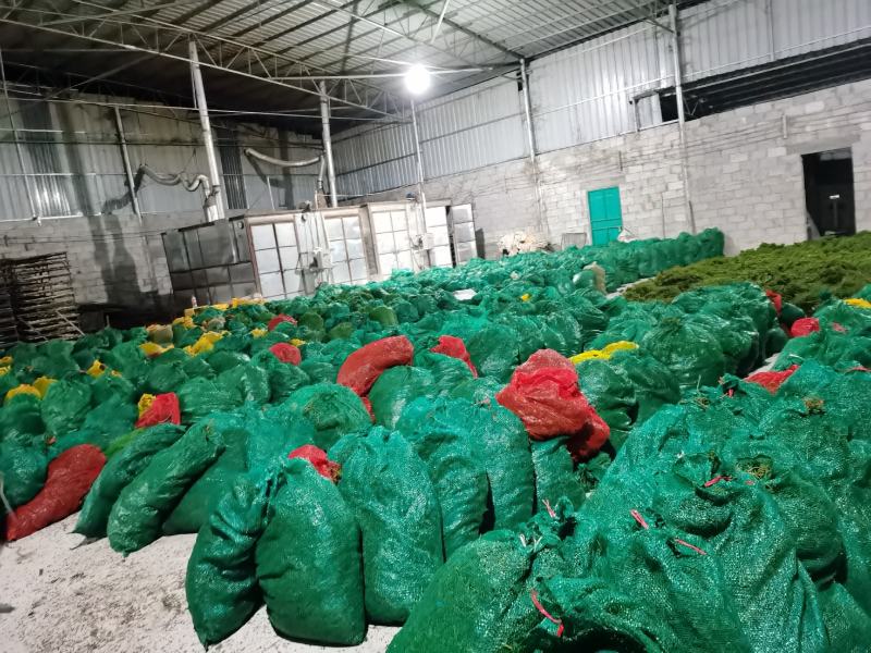 产地吴茱萸大量产新(批发零售)产地实力商家